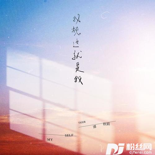 我想这就是我吉他版