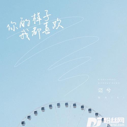 你的样子我都喜欢的专辑