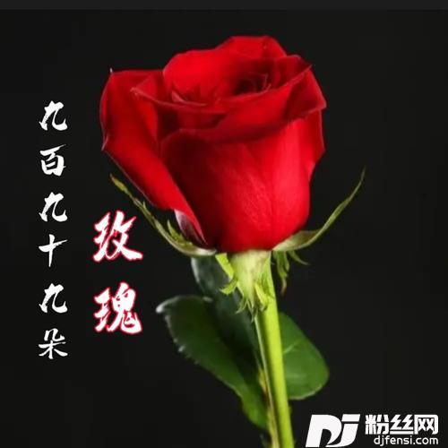 九百九十九朵玫瑰cover:邰正宵