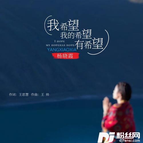 我希望我的希望有希望DJ沈念版