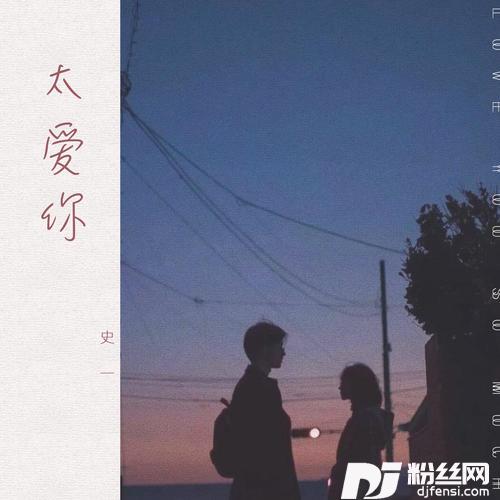 太爱你