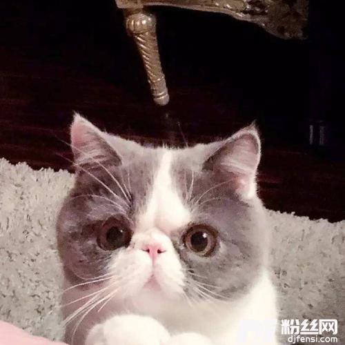 假如我S去的专辑