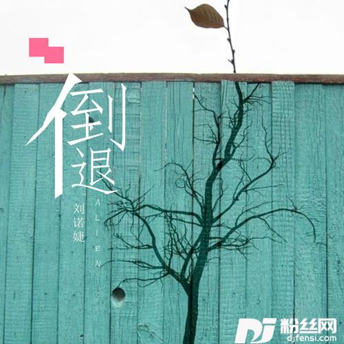 仙度瑞拉的专辑