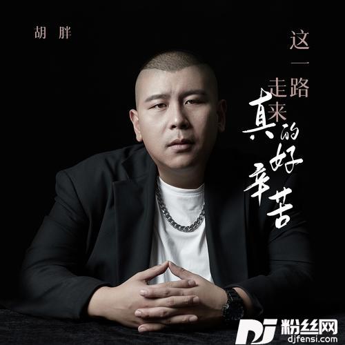 这一路走来真的好辛苦DJ九零版