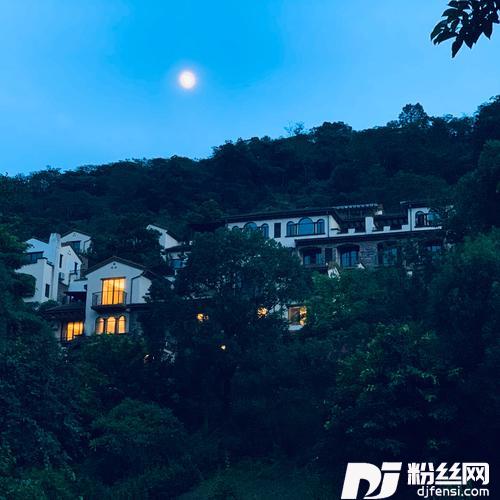 念你如初的专辑