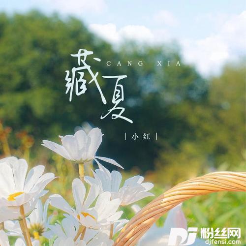 藏夏的专辑