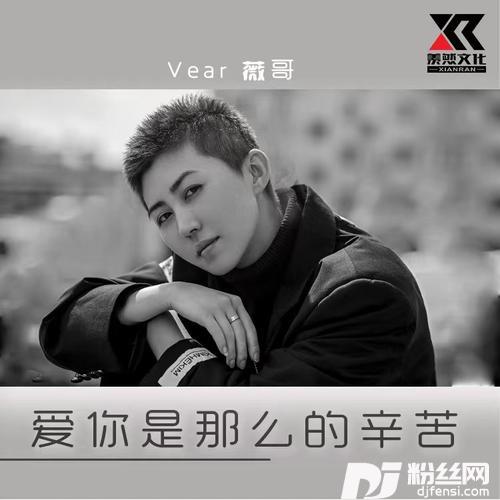 爱你是那么的辛苦的专辑
