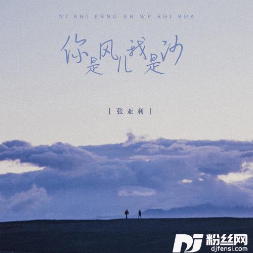 你是风儿我是沙的专辑