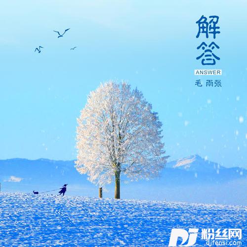 解答的专辑