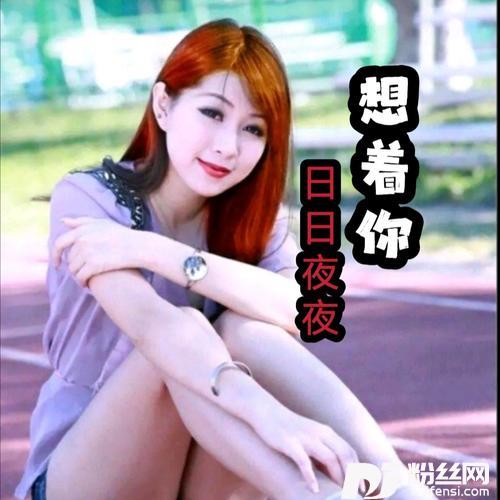 日日夜夜想着你（独唱版）的专辑