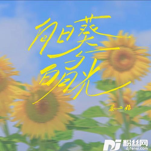 向日葵与白月光的专辑