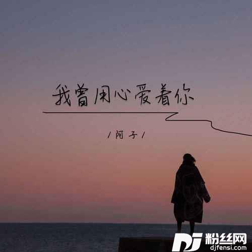 我曾用心爱着你DJ默涵版