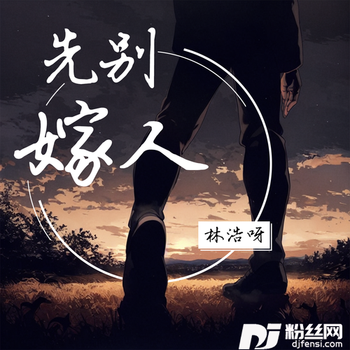 先别嫁人的专辑