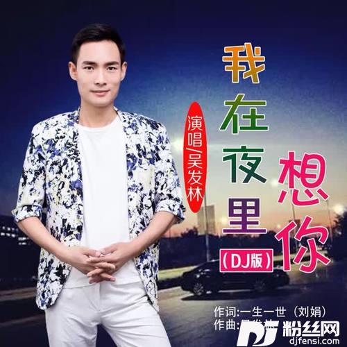 我在夜里想你DJ版的专辑