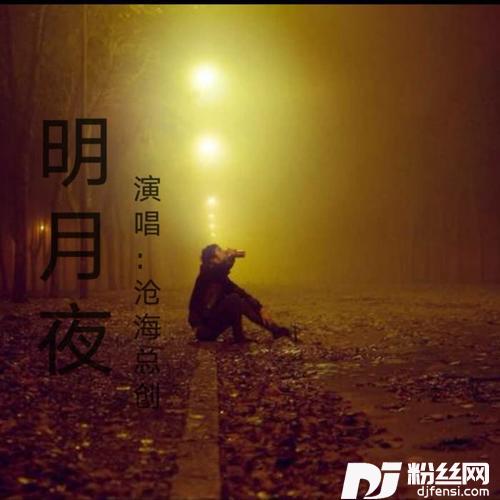 明月夜cover:魏佳艺
