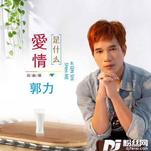 爱情是什么DJ默涵版