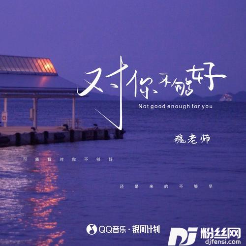 对你不够好的专辑