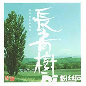 铁血丹心