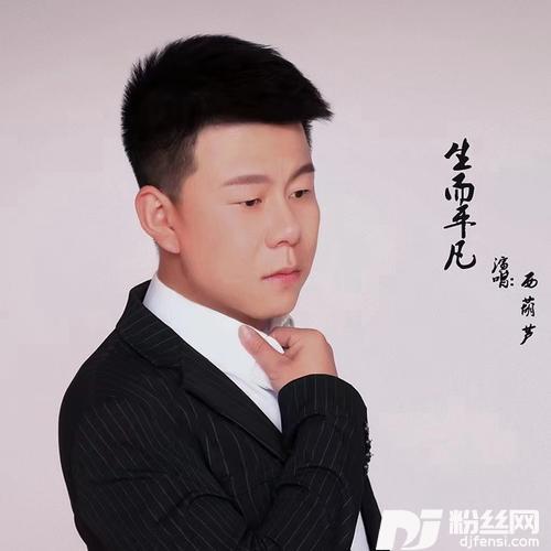 生而平凡（DJ阿远版）的专辑