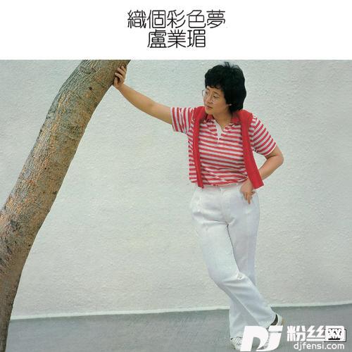 一束小菊花