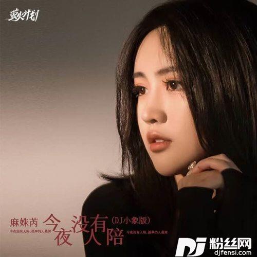 今夜没有人陪DJ小象版