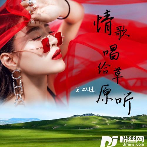 情歌唱给草原听（DJ沈念版）