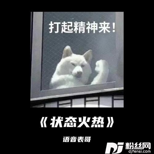 状态火热