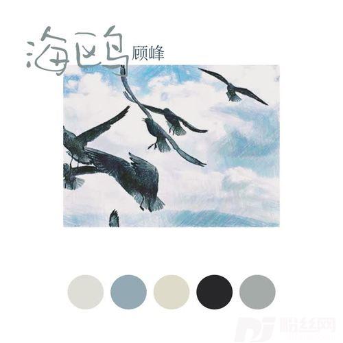 海鸥（不插电现场版）的专辑