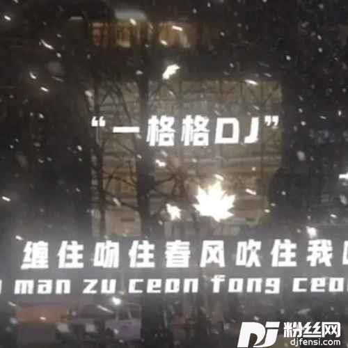 一格格新版DJ