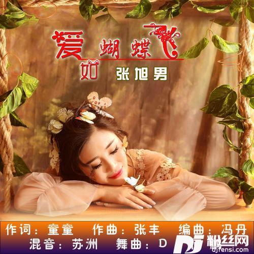 爱如蝴蝶飞的专辑