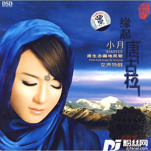 水中月亮的专辑