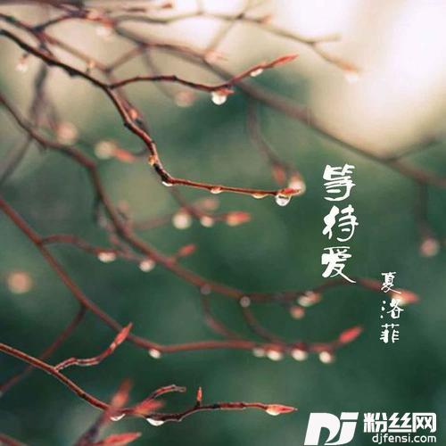 等待爱的专辑