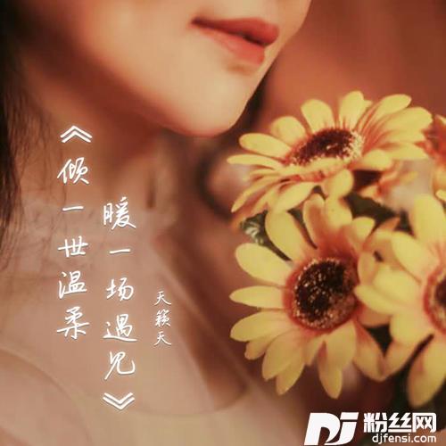 倾一世温柔暖一场遇见