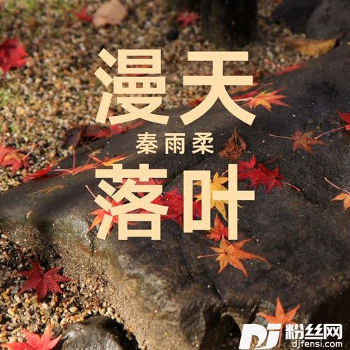 漫天落叶