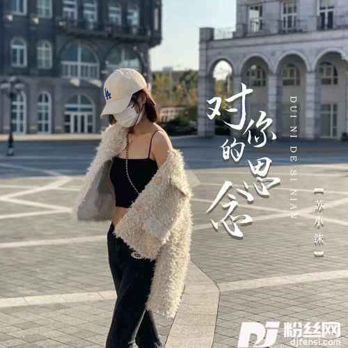 对你的思念DJ彭锐版