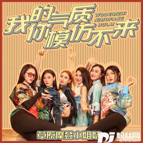 我的气质你模仿不来DJ版