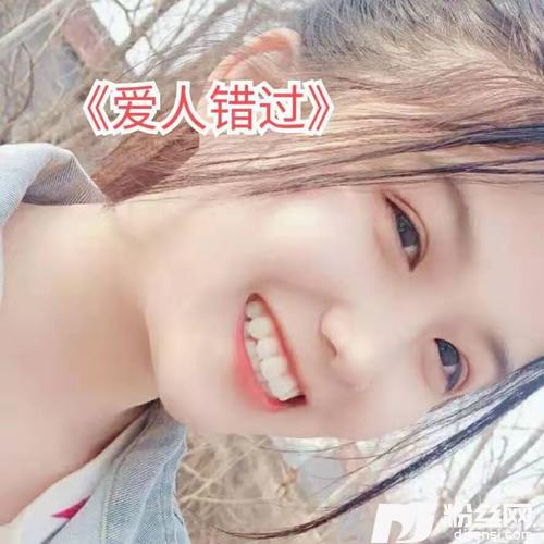 爱人错过抖音女声版