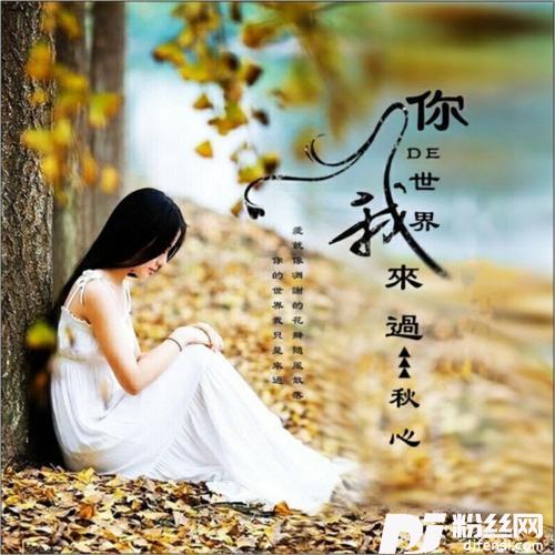 你的世界我来过（新版）