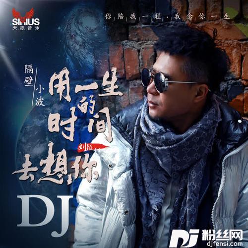 用一生的时间去想你DJ何鹏版