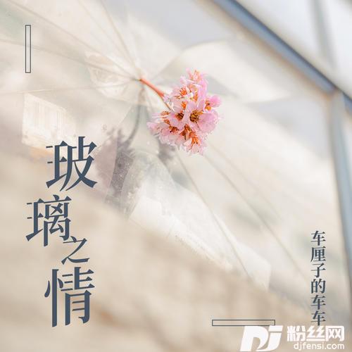 玻璃之情