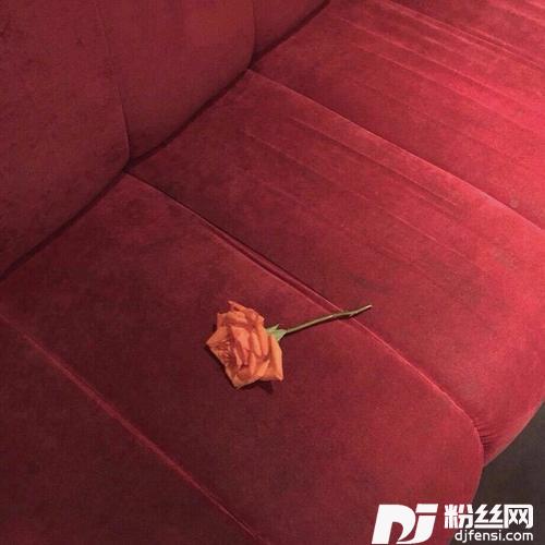 苏打气泡