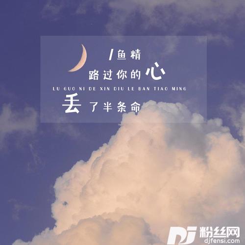 路过你的心丢了半条命的专辑