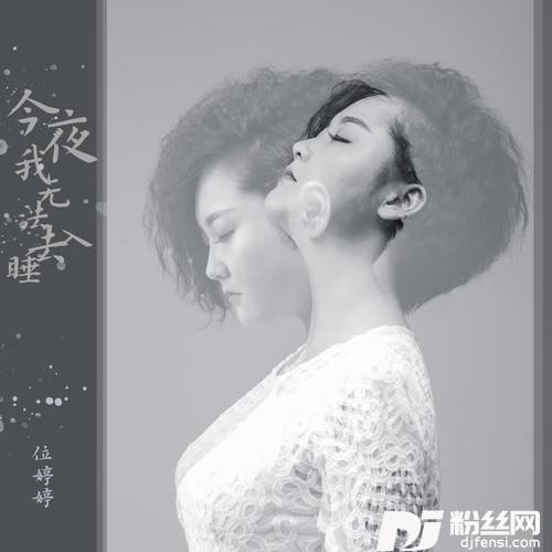 今夜我无法去入睡DJ版