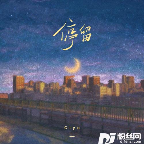 停留DJ版
