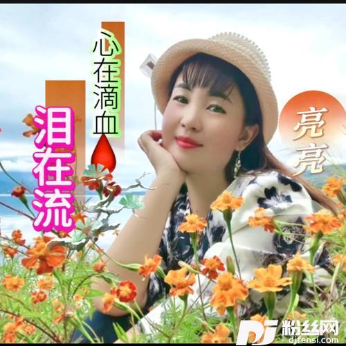 大风吹倒梧桐树