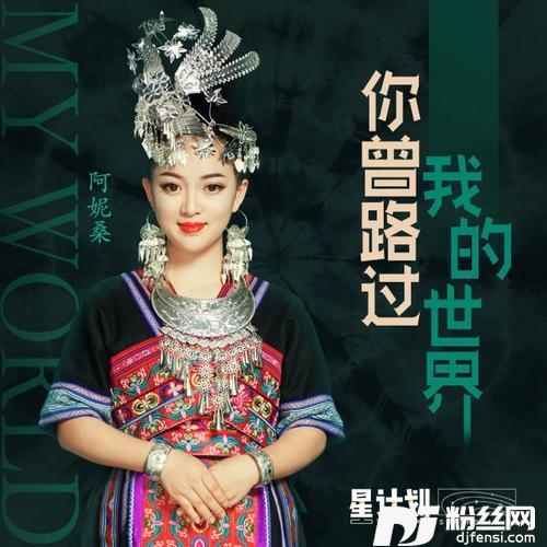 你曾路过我的世界
