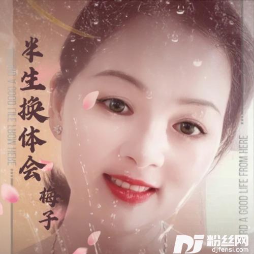 半生换体会cover:魏佳艺的专辑