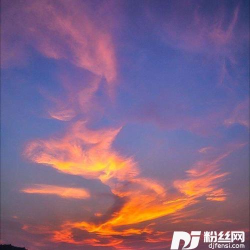 流星cover:郑钧的专辑