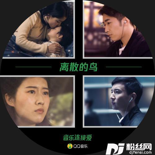 离散的鸟