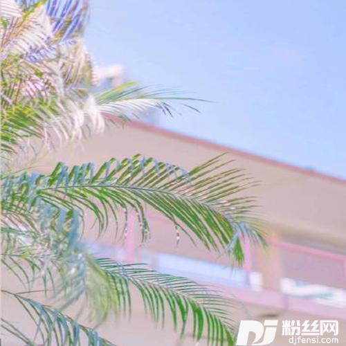 不过是上山的人的专辑